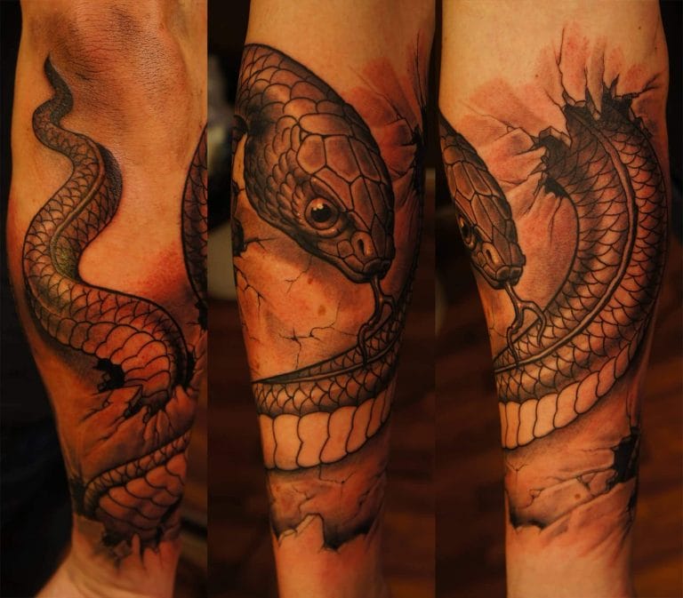 Tattoo Snake Sleeve Designs