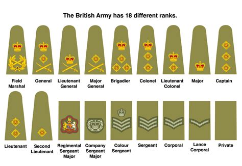 The Army Ranks In The Army Uk