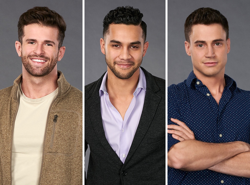 The Bachelorette Cast