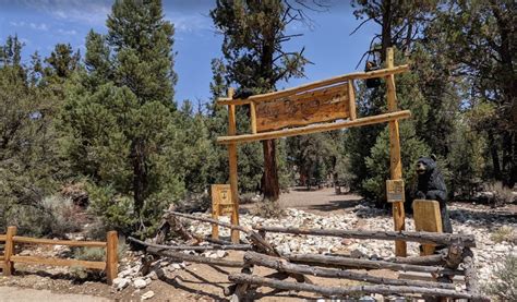 The Discovery Center Walking Trail In Big Bear Big Bear Getaway