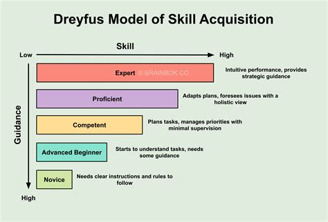 The Five Stages Of Skill Acquisition Framework By Dreyfus And Dreyfus 31 Download