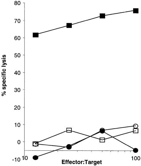 The T Cell Response To Murine Tyrosinase369 377 In Tyrosinase Mice Is Download Scientific