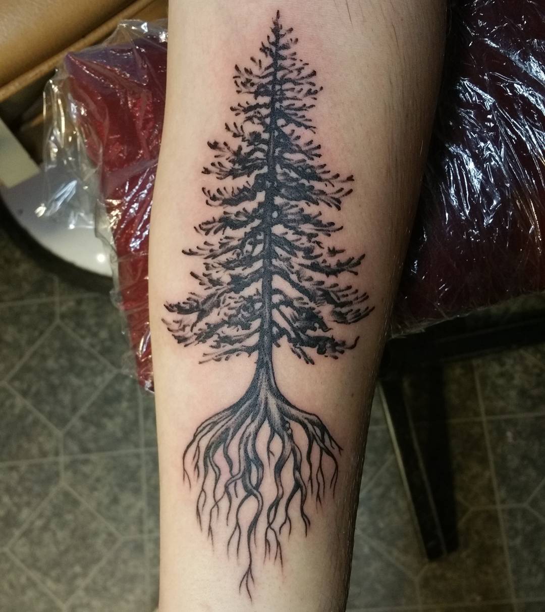 Tiny Tree Tattoos Meaning