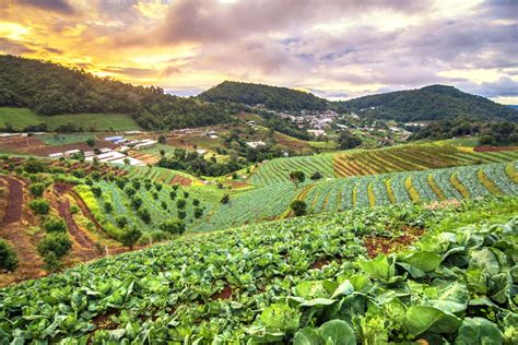 Tips For Sustainable Farming