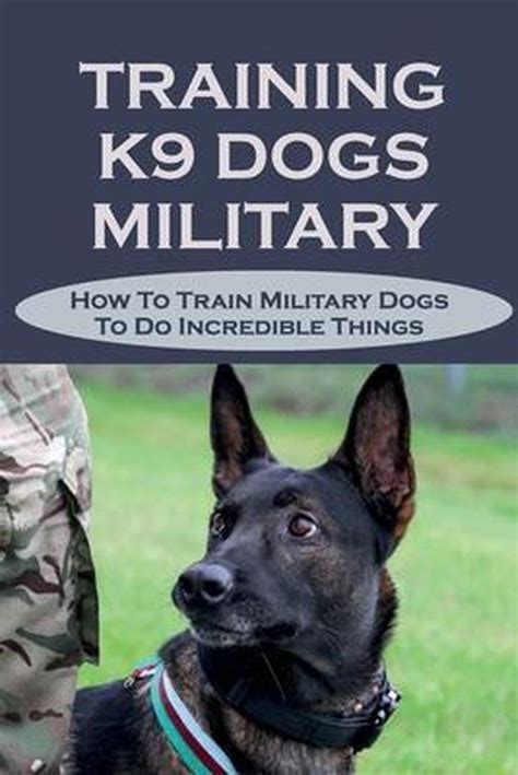 Training K9 Dogs Military How To Train Military Dogs To Do Incredible