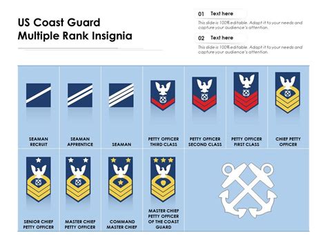 U S Coast Guard Rank Insignia Identification Gallery