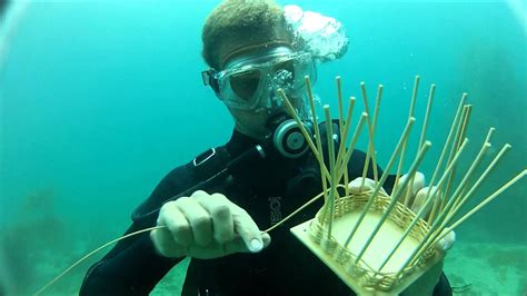 Underwater Basket Weaving Meaning Youtube