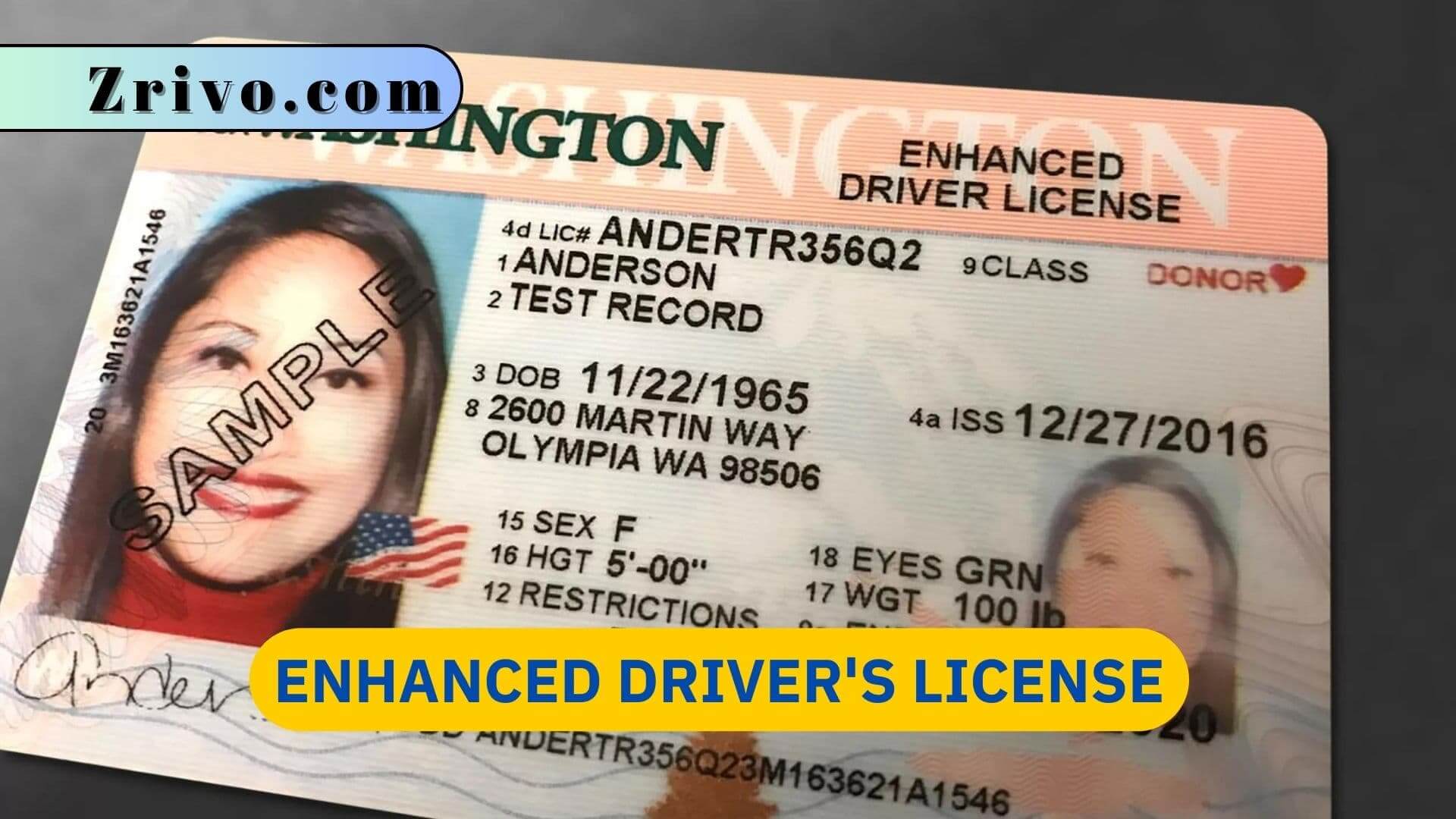 Unlocking The Ultimate Guide To Your Mi Enhanced Driver's License