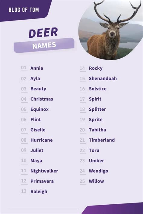 Update Spouse Last Name Deers