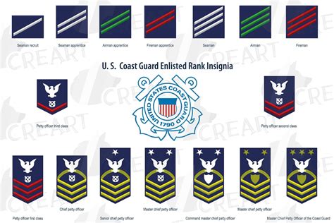 Us Coast Guard Enlisted Rank Insignia Collection Us Coast Etsy