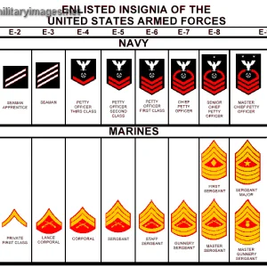 Us Navy Enlisted Ranks Militaryimages Net