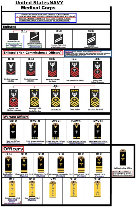 Us Navy Rank Insignia Officer Leutgard