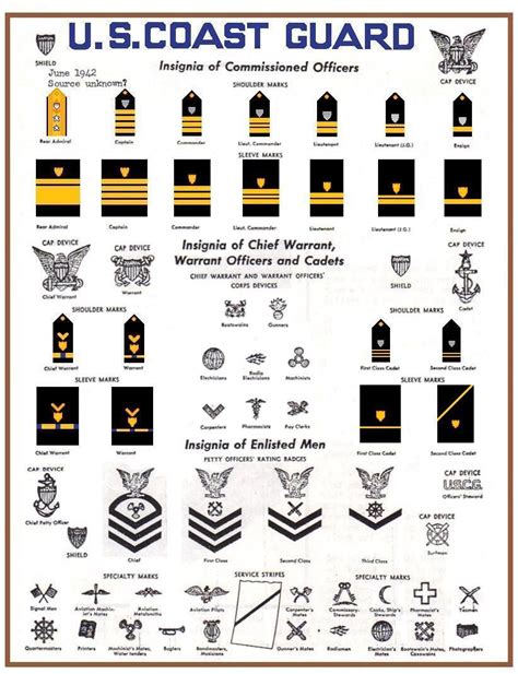 Uscg Ranks And Insignia