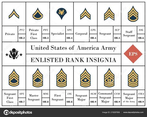 Vector Collection Of United States Of America Army Enlisted Rank