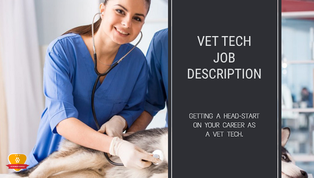 Vet Job Environment Tips