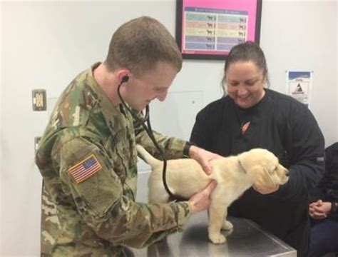 Veterinary Corps Provides Over 100 Years Of Animal Care For Army