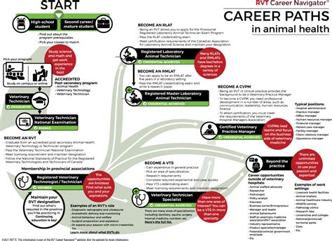 Veterinary Military Career Paths