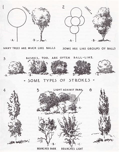 Ways To Ink Trees