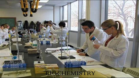 What Is Biochemistry Scope And Career Careerindia