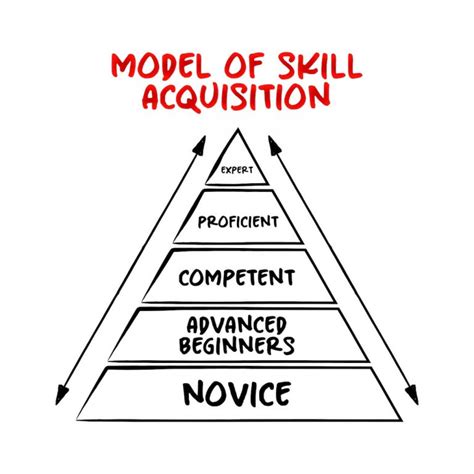 What Is The Dreyfus Model Of Skill Acquisition The Dreyfus Model Of Skill Acquisition In A