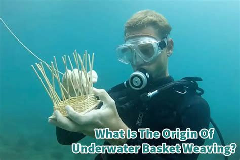 What Is The Origin Of Underwater Basket Weaving Mondoro