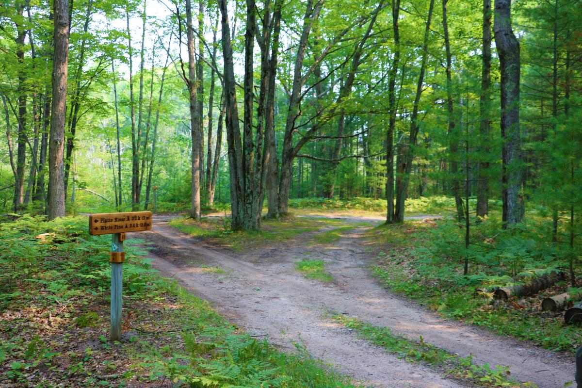 White Pine Backcountry Campground Sleeping Bear Dunes Honor Mi 49640