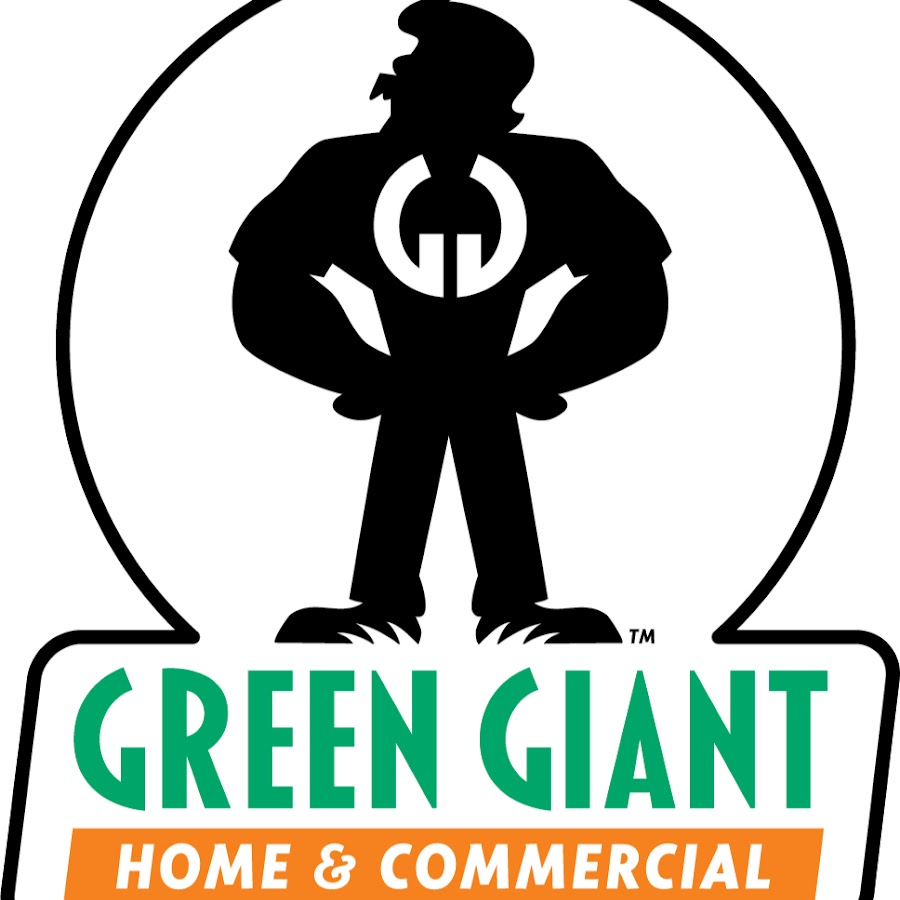 Why Are There Flies In My House Green Giant Home Commercial