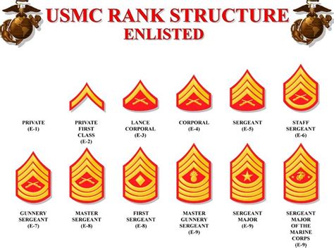 Why Marines Use Ranks