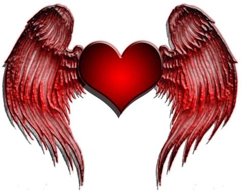 Wing Heart Tattoos Cool Tattoos Bonbaden Heart With Wings Heart