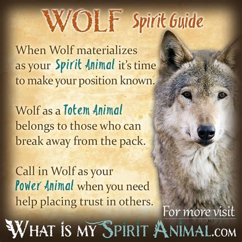 Wolf Spirit Animal Wolf Totem Power Animal Wolf Symbolism