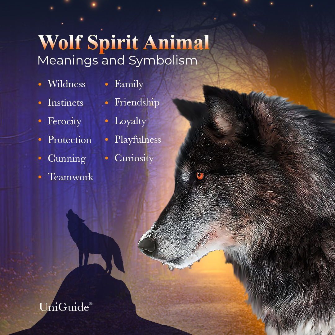 Wolf Symbolism Wolf Meaning The Wolf Spirit Animal Uniguide